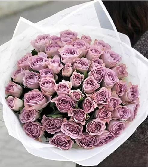 دسته گل گرد رز یاسی هلندی کد491