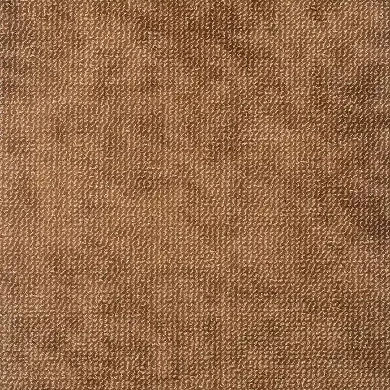 موکت پالاز سری پتینه — تصویر ۲