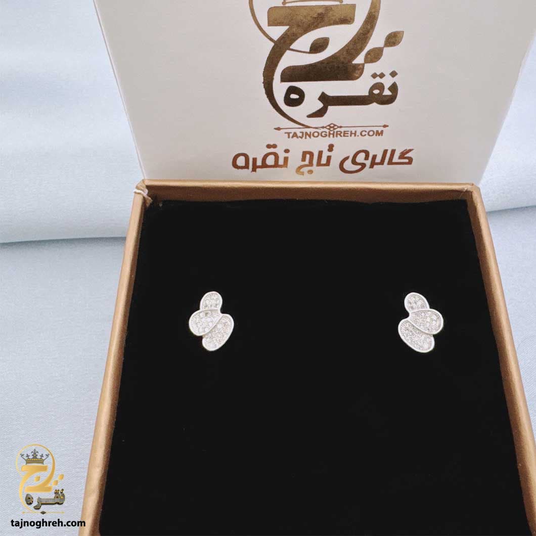 گوشواره نقره زنانه فانتزی شیک مدل ESW E80 — تصویر ۳