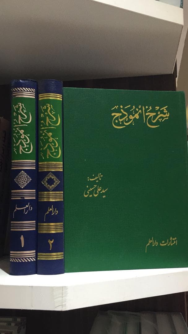 شرح انموذج (جلد2)