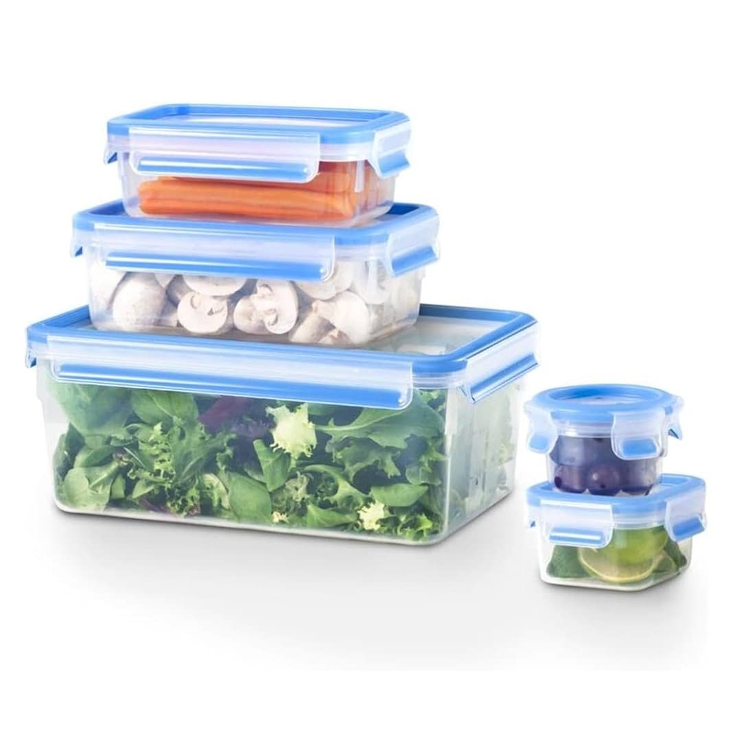 ست 5 تیکه ظرف نگه دارنده تفال مدل Tefal master seal fredh box K3029012 — تصویر ۲