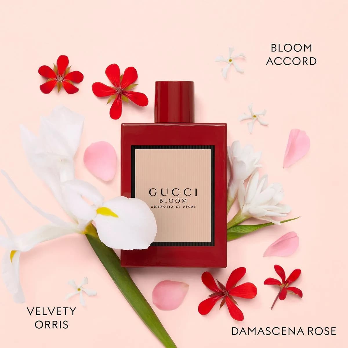عطر ادکلن گوچی بلوم آمبرزیا دی فیوری زنانه اصل — تصویر ۳