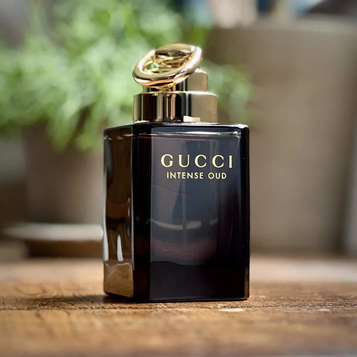 عطر ادکلن گوچی اینتنس عود اصل — تصویر ۴