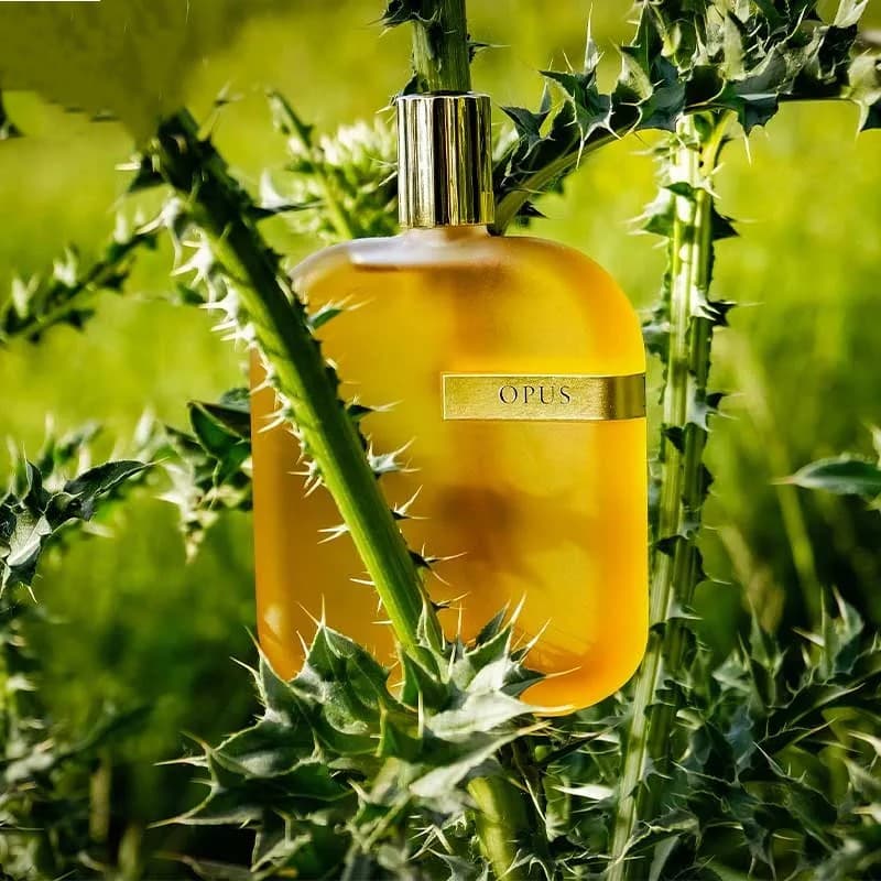 عطر ادکلن آمواج اوپوس 3 اصل — تصویر ۳
