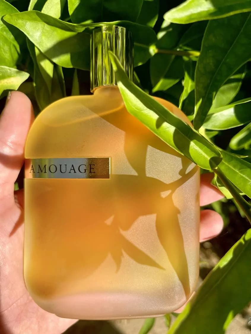 عطر ادکلن آمواج اوپوس 1 اصل — تصویر ۳