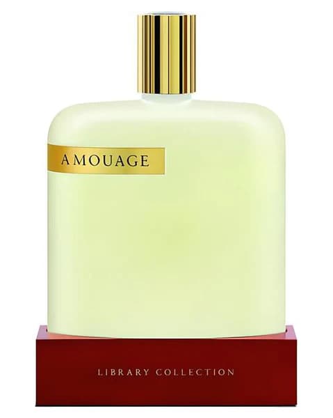 عطر ادکلن آمواج اوپوس 4 اصل — تصویر ۲