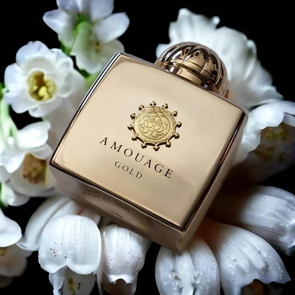 عطر ادکلن آمواج گلد زنانه اصل — تصویر ۷