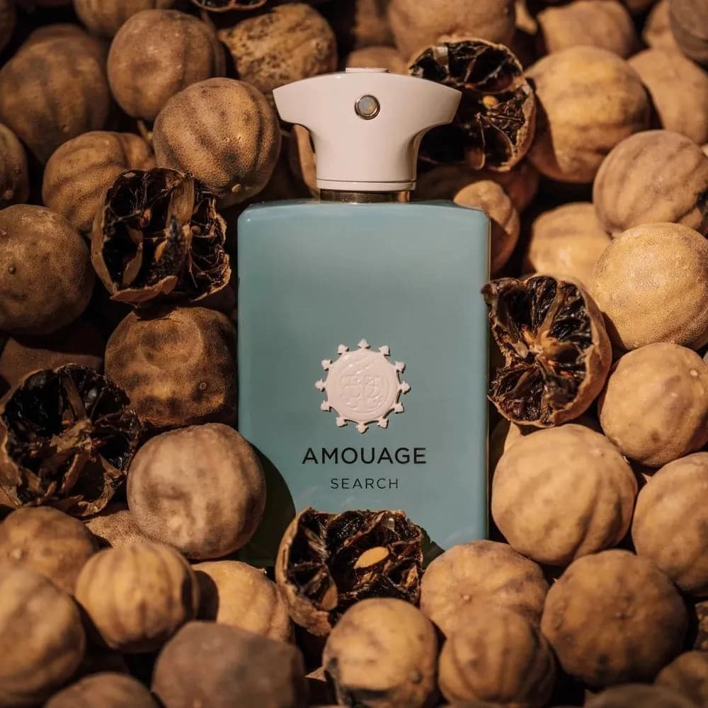 عطر ادکلن آمواج سرچ اصل — تصویر ۶