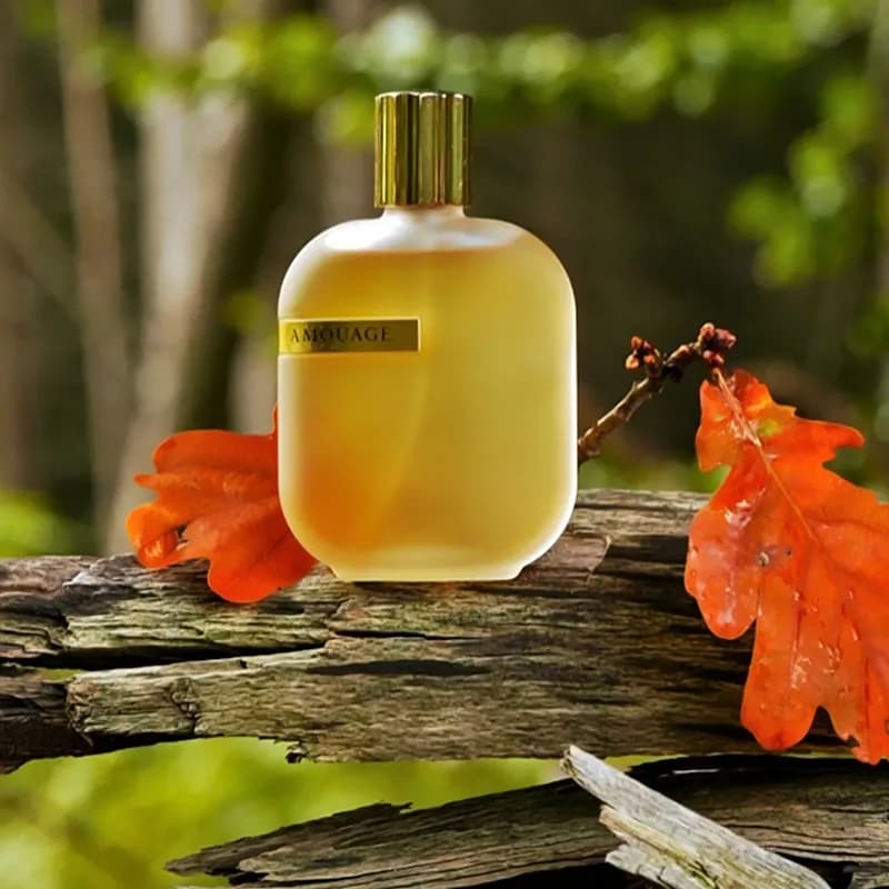 عطر ادکلن آمواج اوپوس شش اصل — تصویر ۳