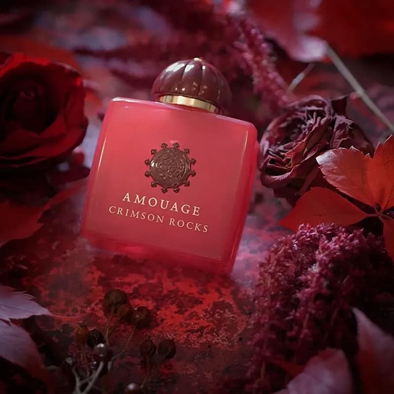 عطر ادکلن آمواج کریمسون راکز اصل — تصویر ۴
