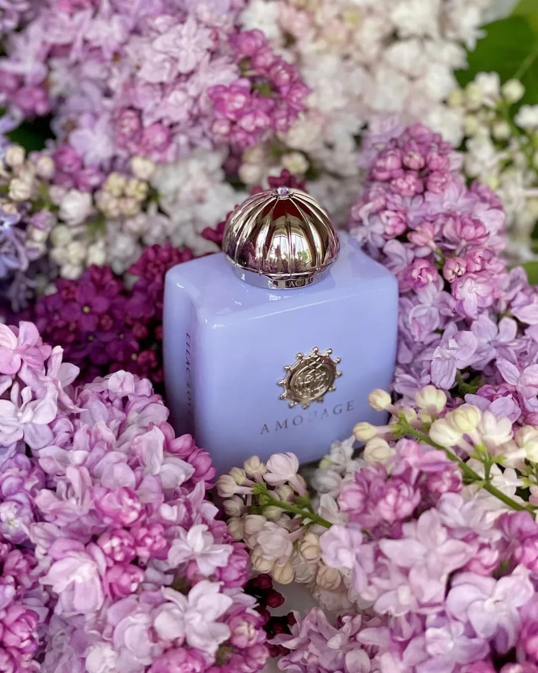 عطر ادکلن آمواج لیلاک لاو زنانه اصل — تصویر ۵