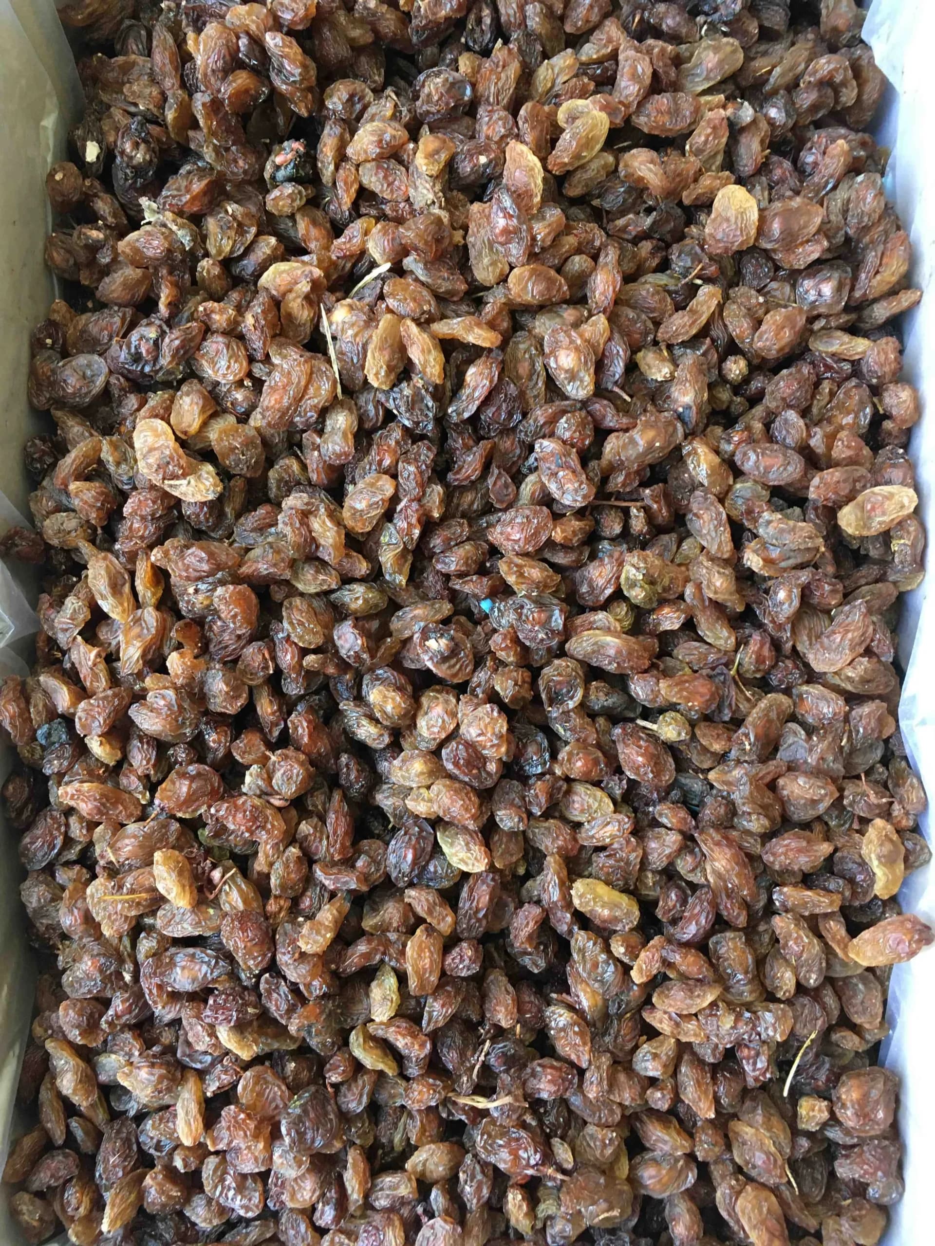 مویز اقتصادی(کد106) — تصویر ۲