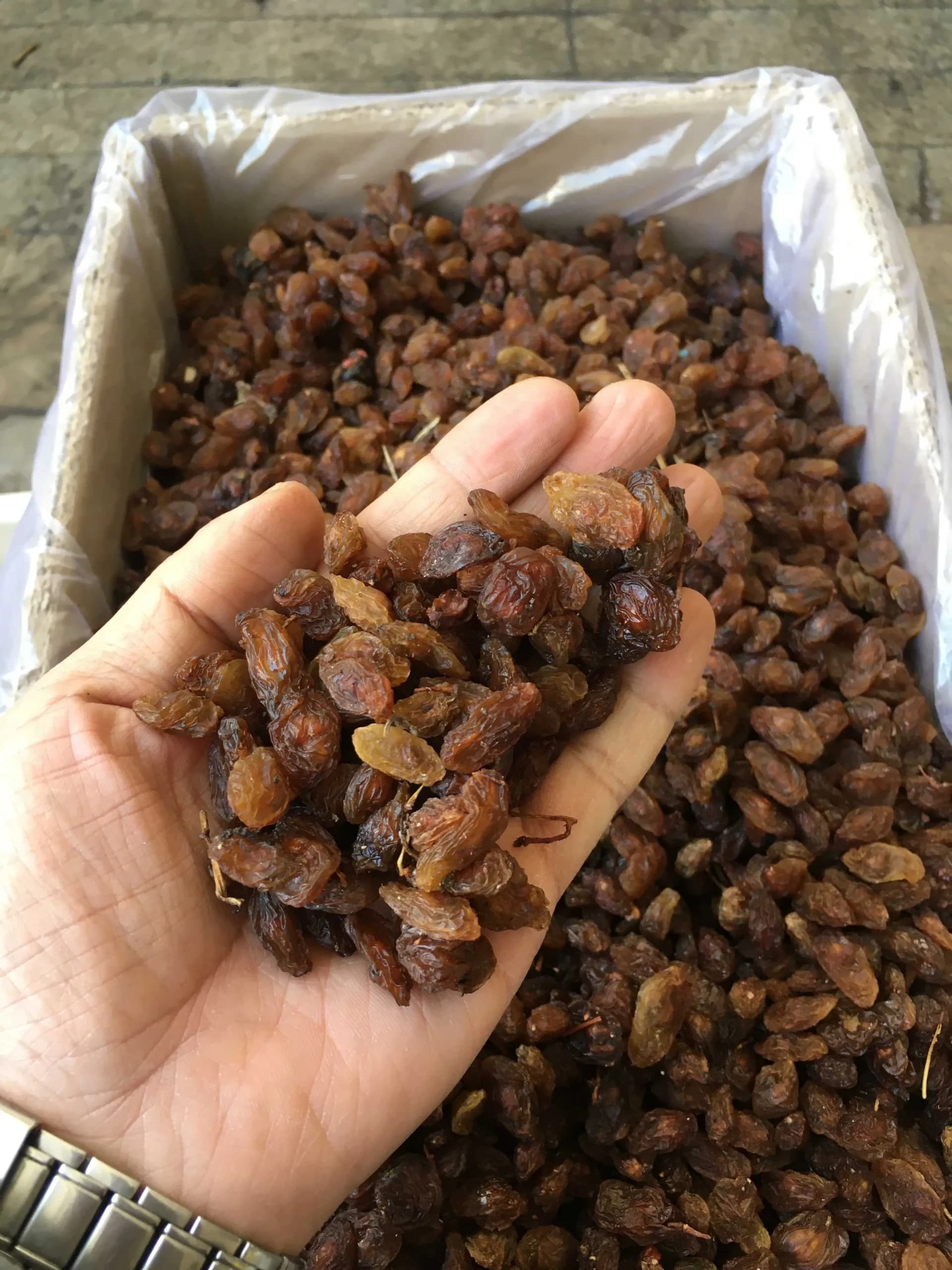 مویز اقتصادی(کد106)