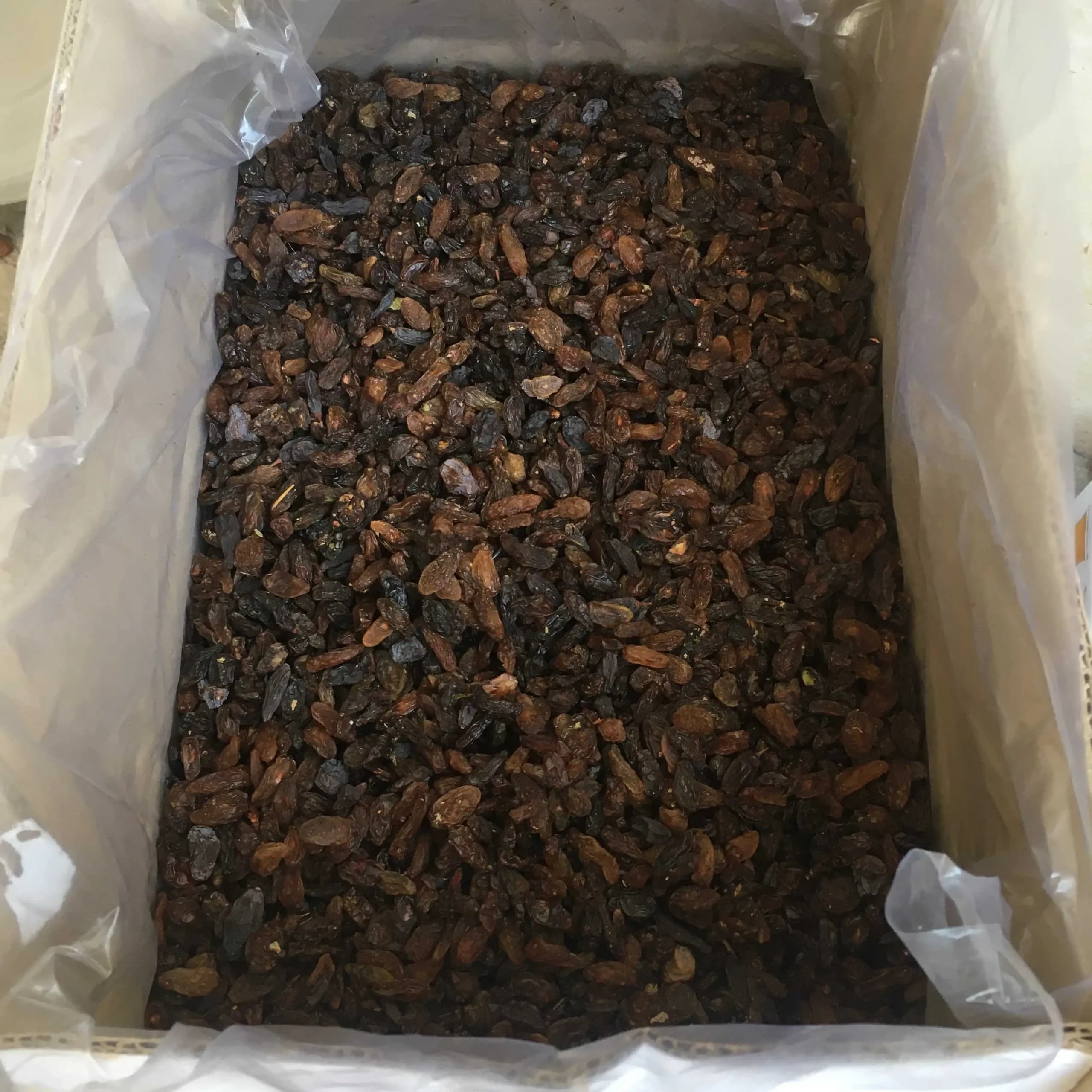 کشمش آفتابی لوکس(کد104) — تصویر ۲