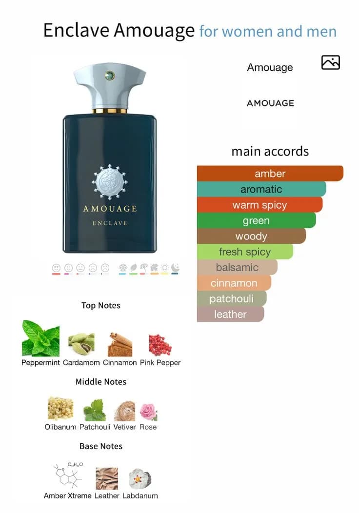 عطر ادکلن آمواج انکلیو اصل — تصویر ۸
