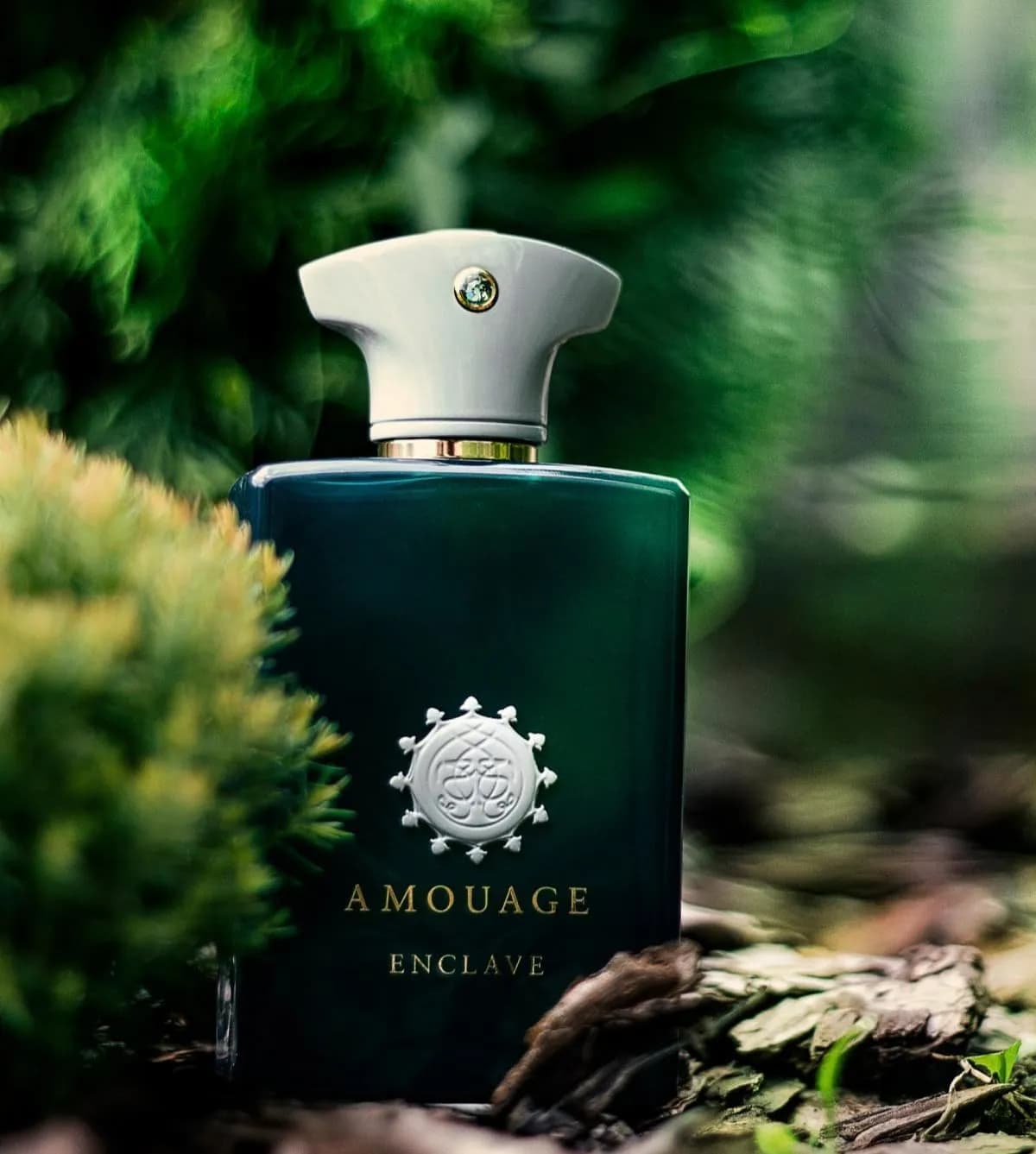 عطر ادکلن آمواج انکلیو اصل — تصویر ۶