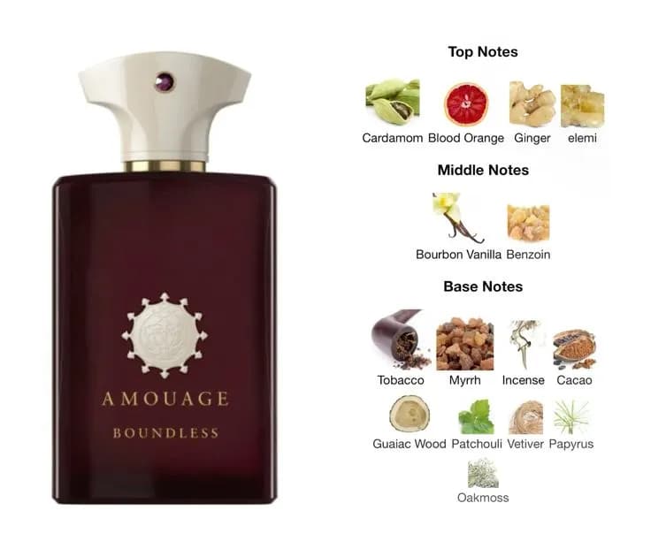 عطر ادکلن آمواج باندلس اصل — تصویر ۸