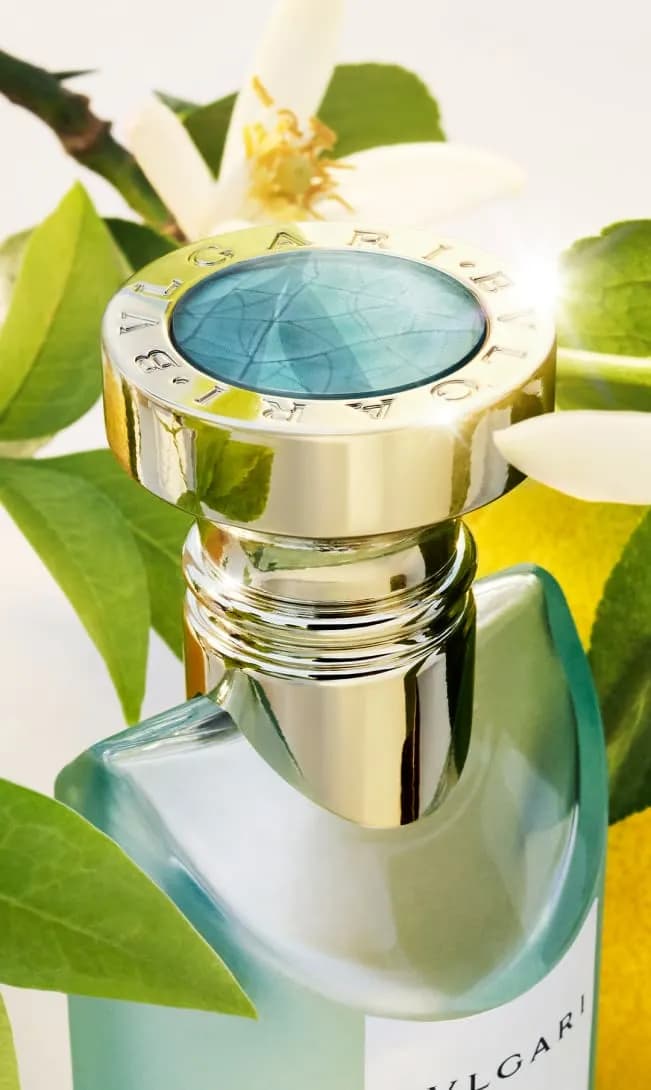عطر ادکلن بولگاری او پارفومی او د ورت اصل — تصویر ۲