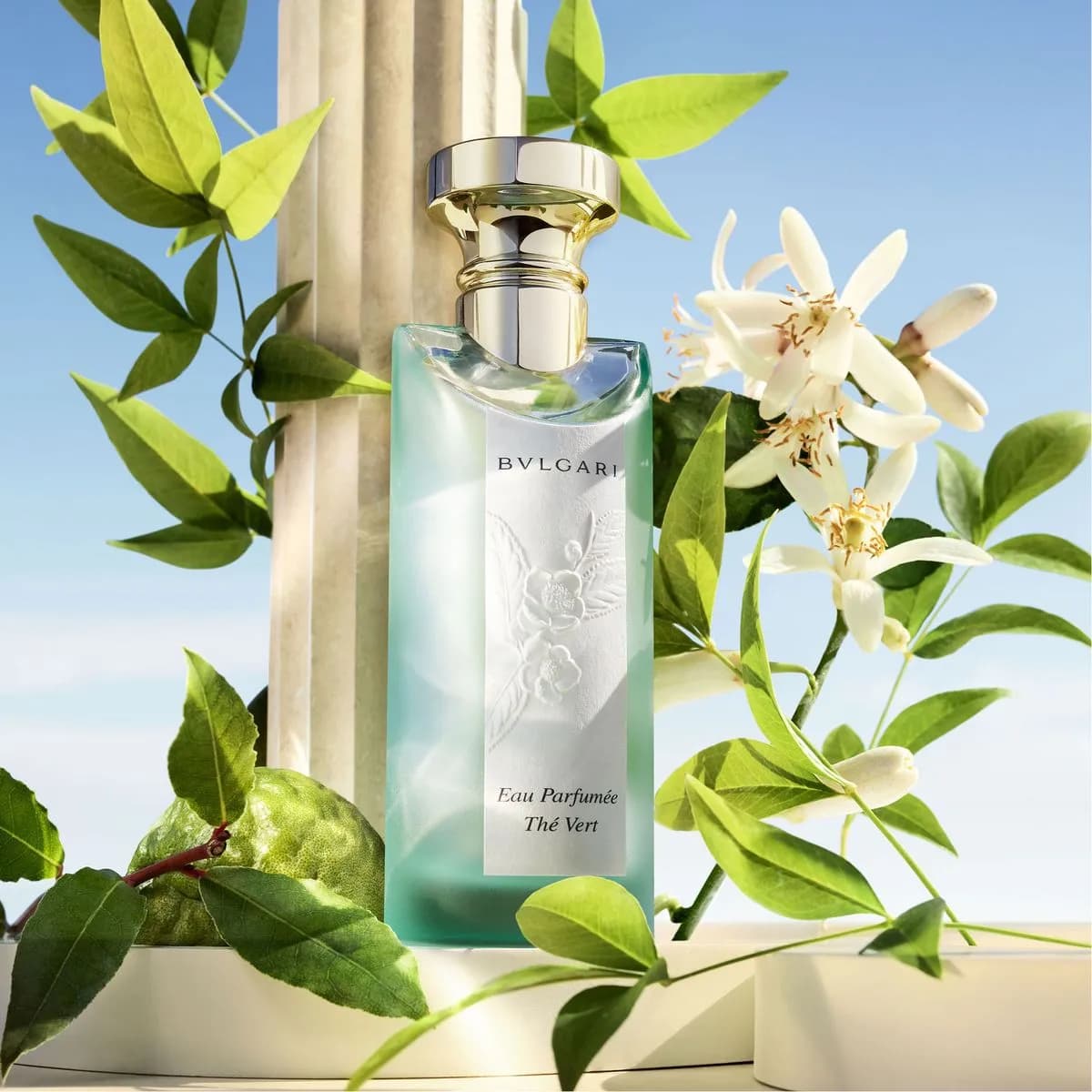 عطر ادکلن بولگاری او پارفومی او د ورت اصل — تصویر ۳