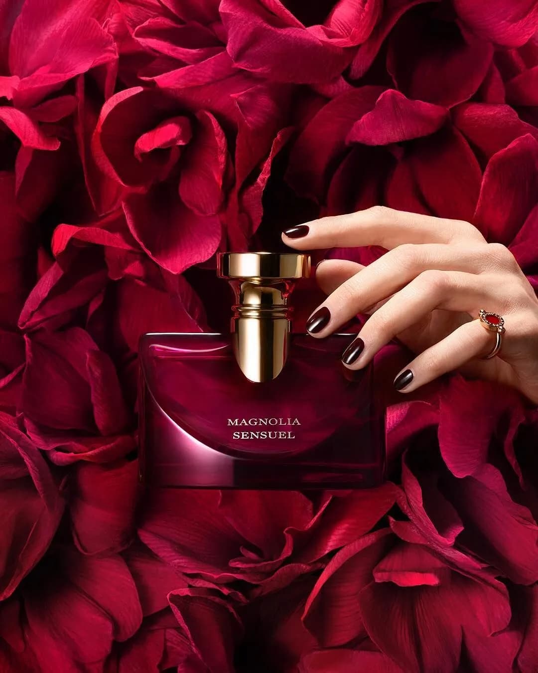عطر ادکلن بولگاری اسپلندیدا مگنولیا سنشوال زنانه اصل — تصویر ۳