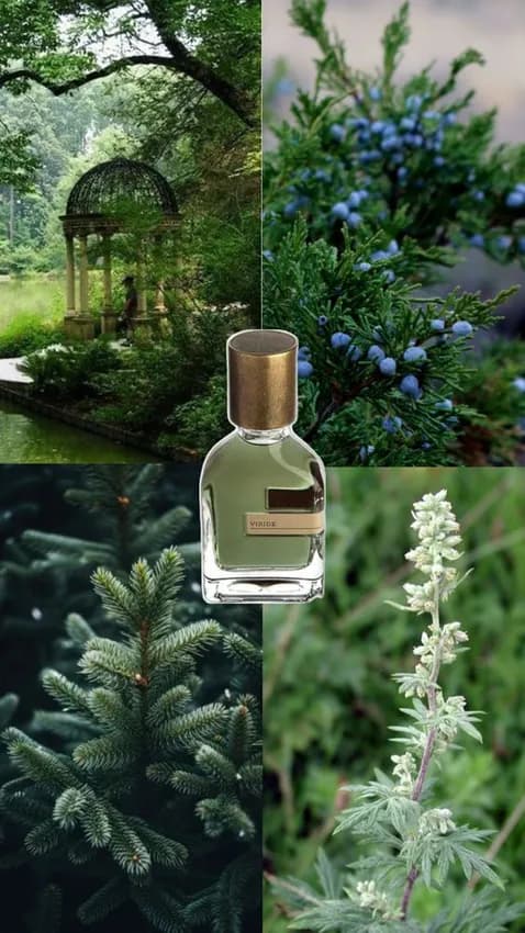 عطر ادکلن اورتو پاریسی ویرید اصل — تصویر ۴
