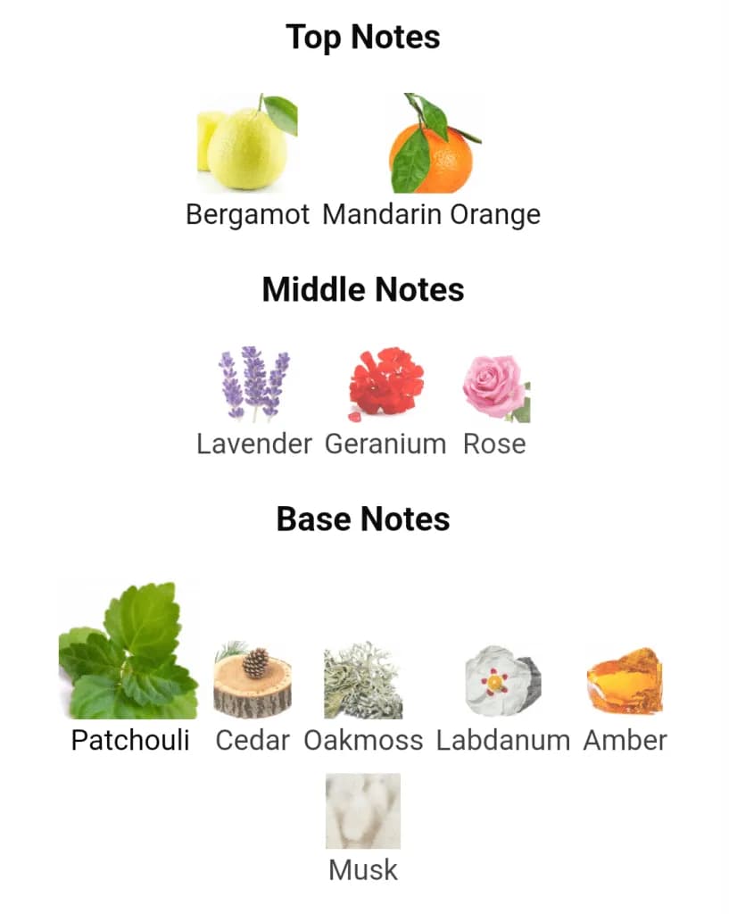 عطر ادکلن اورتو پاریسی بروتوس اصل — تصویر ۴