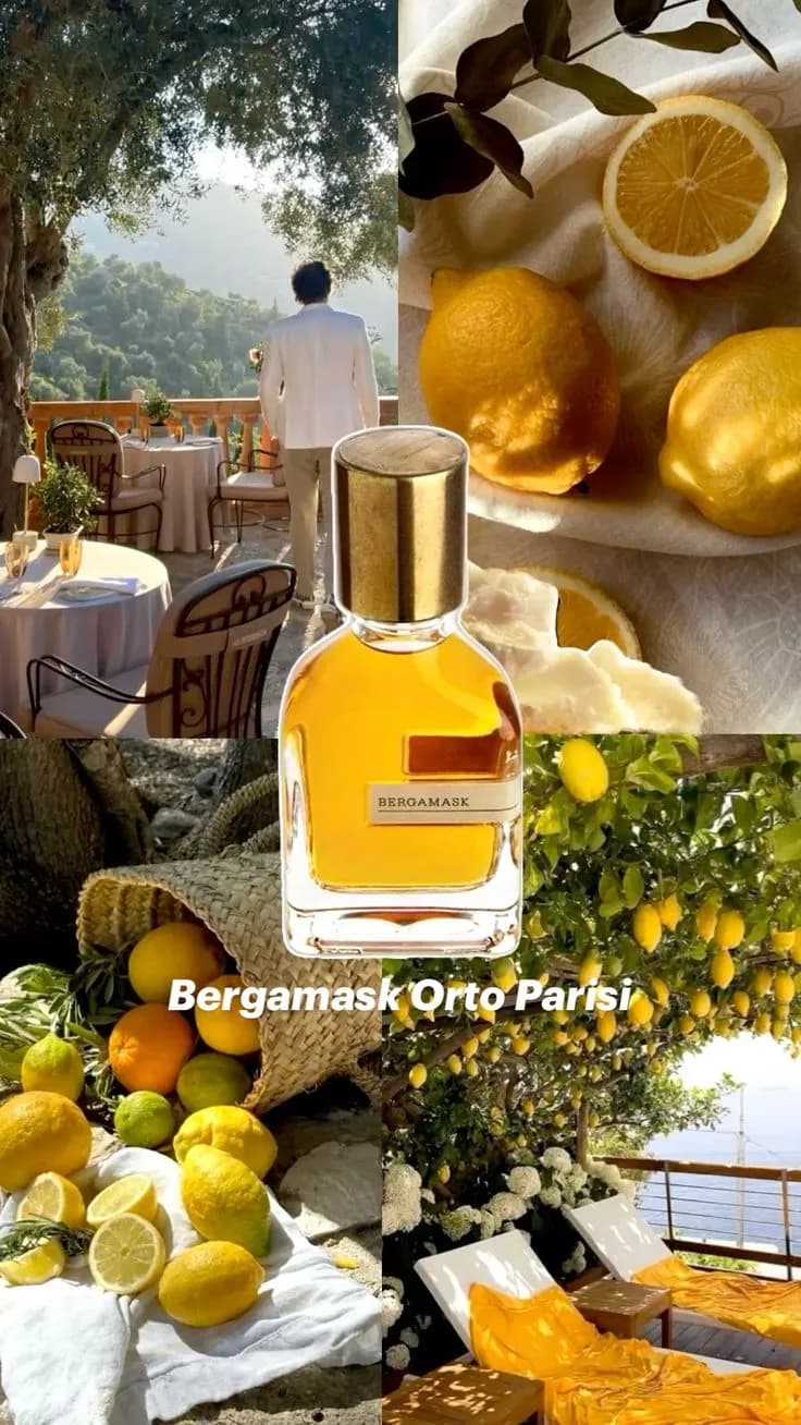 عطر ادکلن اورتو پاریسی برگاماسک اصل — تصویر ۳