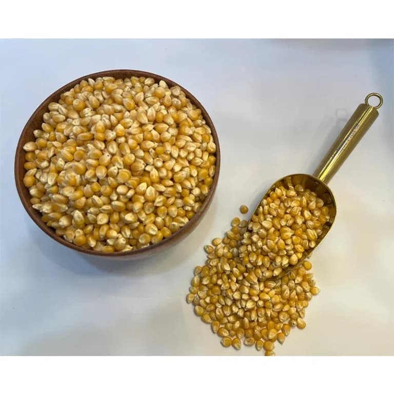 ذرت خارجی مخصوص پاپ کورن ۵۰۰ گرمی