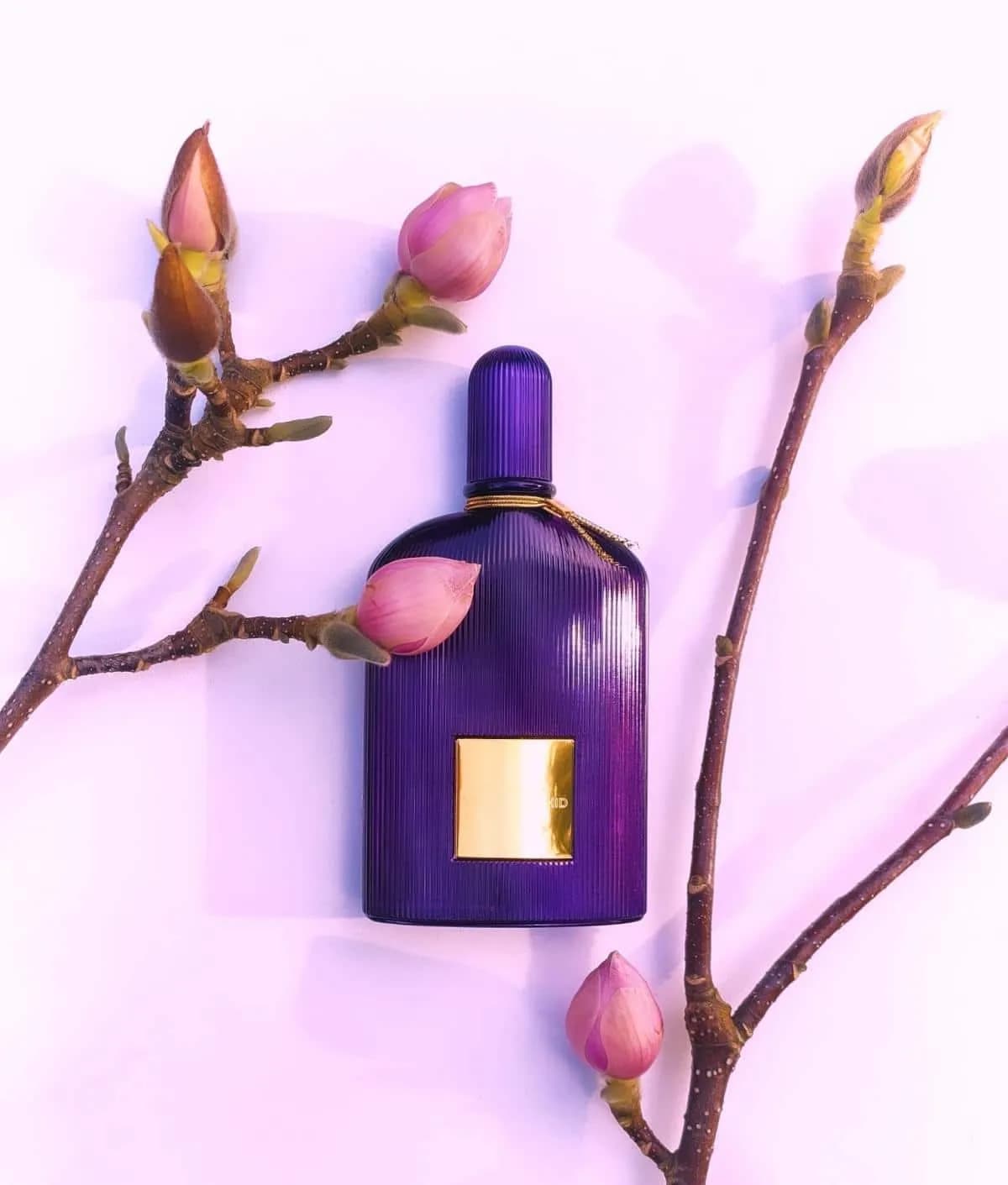 عطر ادکلن تام فورد ولوت ارکید زنانه اصل — تصویر ۳
