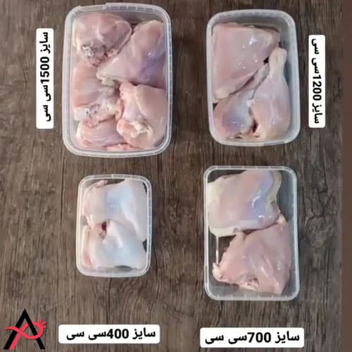 ظرف فریزری شفاف 400 سی سی — تصویر ۴
