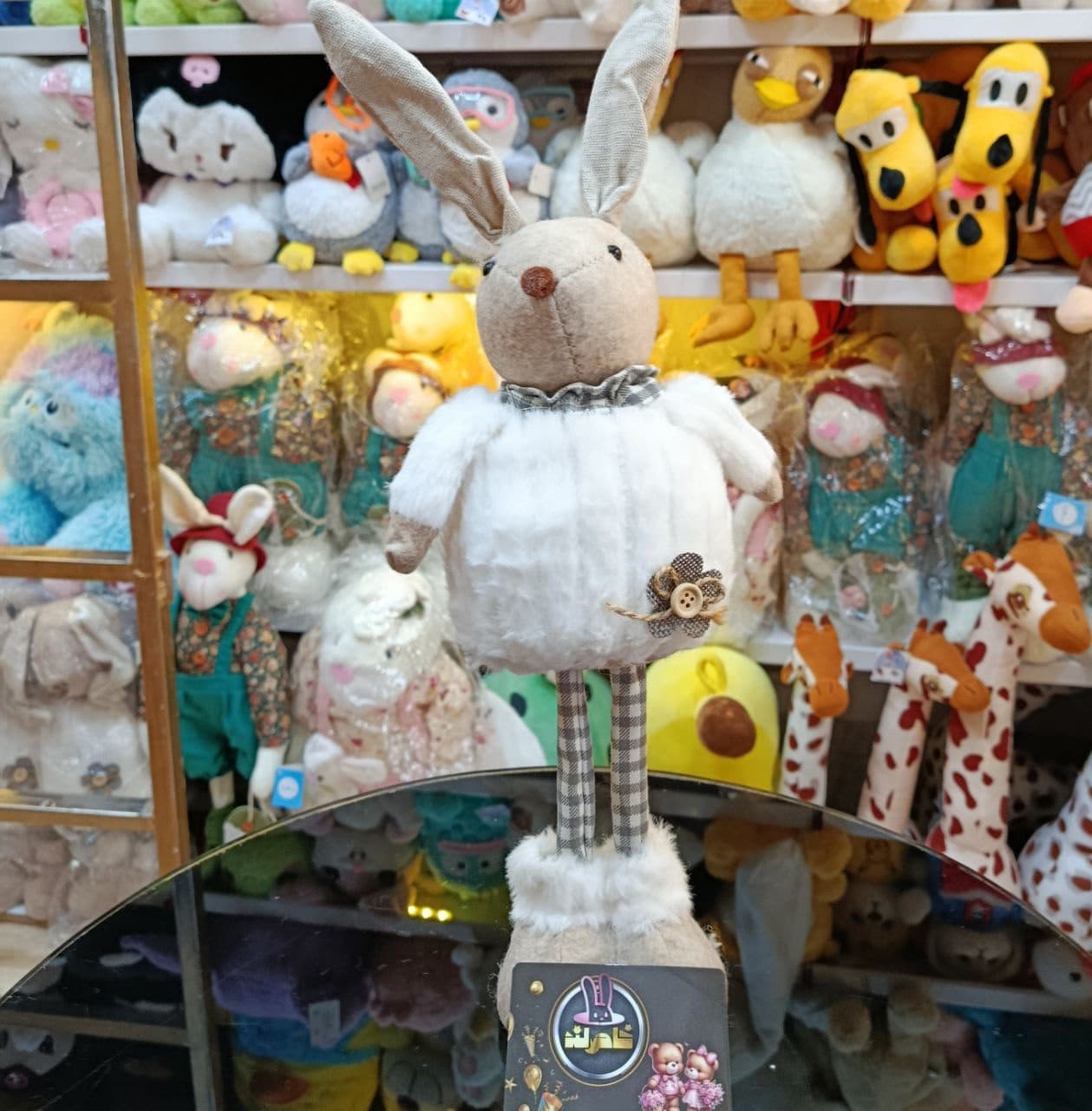 خرگوش بدن کبریتی — تصویر ۴
