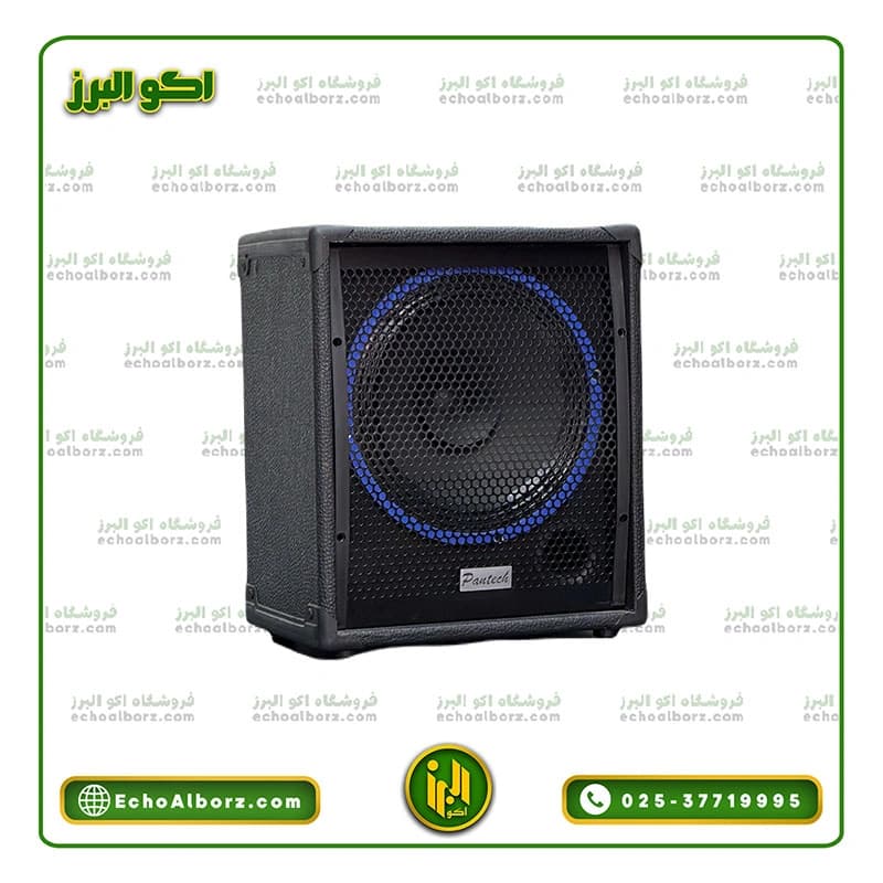 باند پسیو پنتک یدک اکوهمراه چوبی ۱۲ اینچ