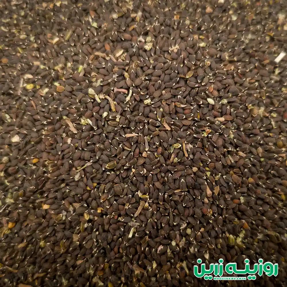 بذر بادرنج روزینه زرین | سبزی معطر برای چای و دمنوش — تصویر ۲