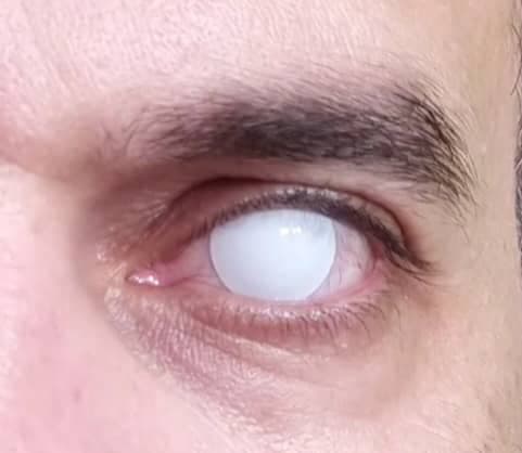 لنز فصلی سفید کوری بدون دید اپتی کالر Ghost White