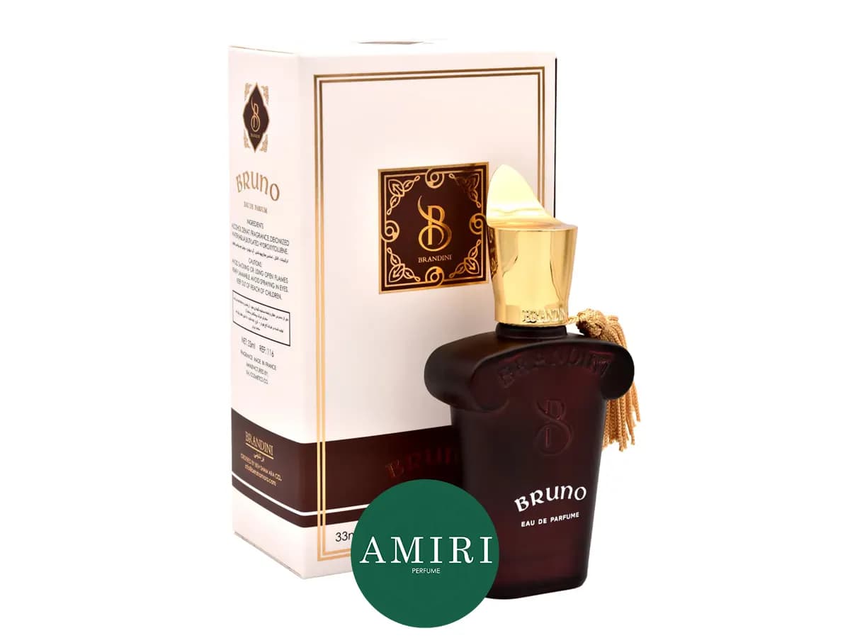 عطر برندینی زرجف برونو | Brandini Xerjoff Casamorati 1888 Bruno — تصویر ۲