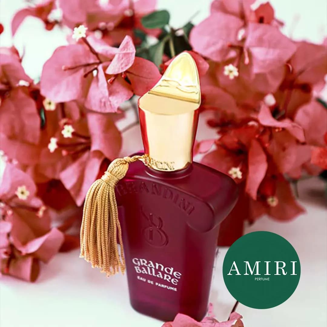 عطر برندینی زرجف گرند بالار زنانه | Brandini Xerjoff Grande ballare — تصویر ۳