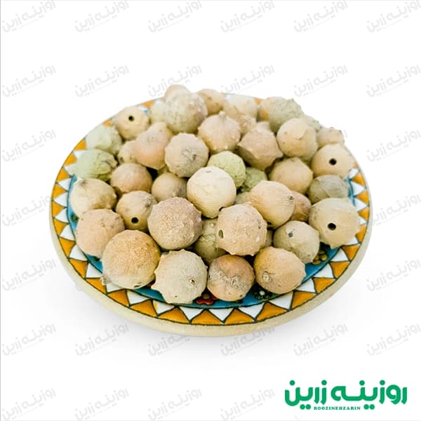 میوه مازو (بلوط) | درمان قطعی اسهال و مشکلات پوستی