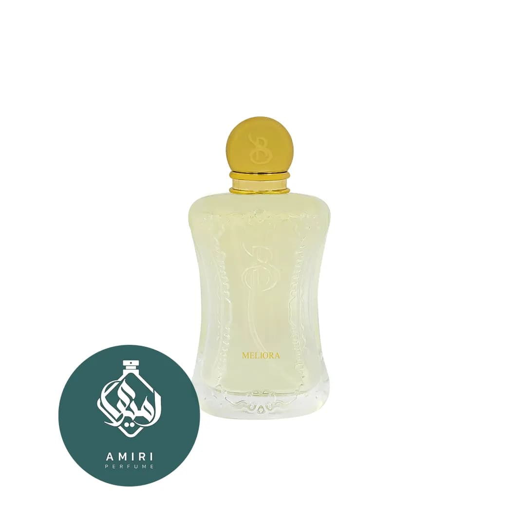 عطر ادکلن برندینی ملیورا | Brandini Meliora