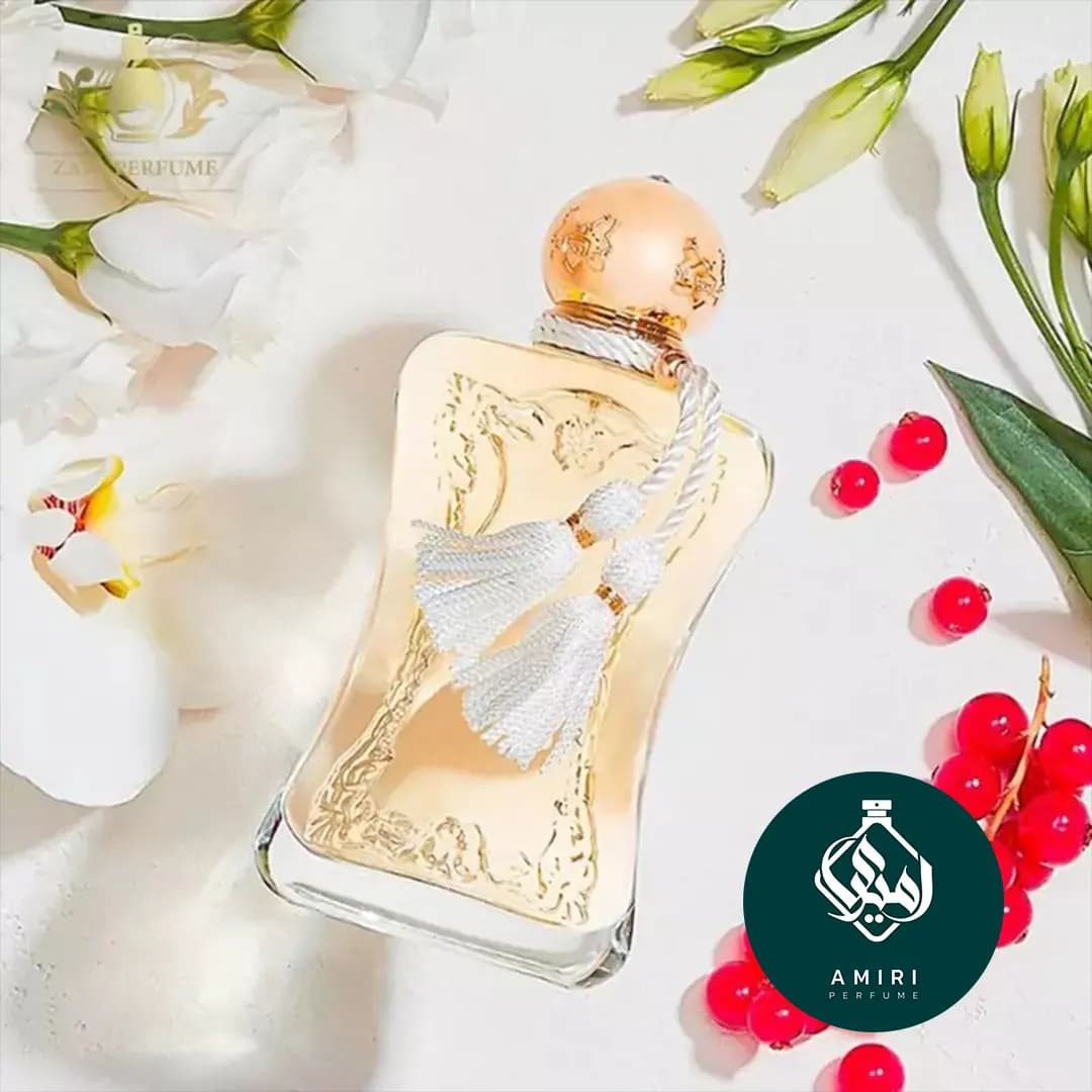 عطر ادکلن برندینی ملیورا | Brandini Meliora — تصویر ۳