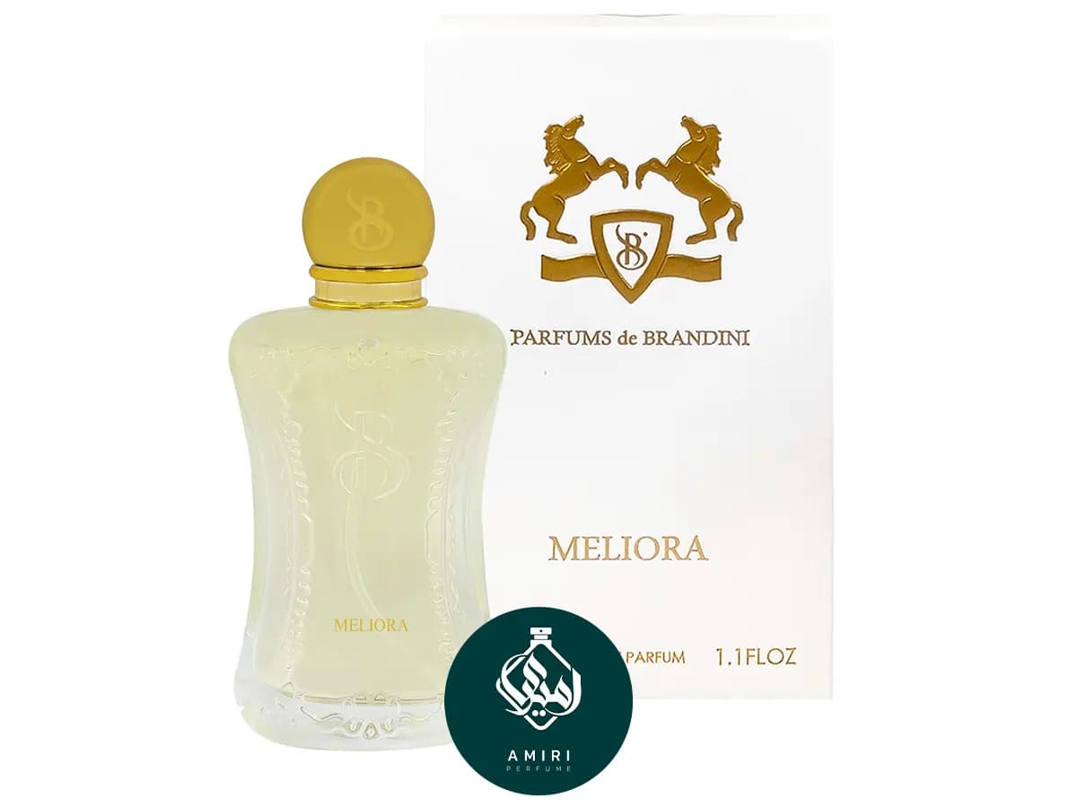 عطر ادکلن برندینی ملیورا | Brandini Meliora — تصویر ۲