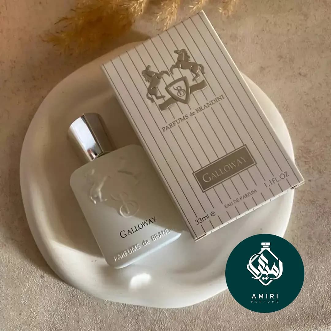 عطر دکلن برندینی گالووی | Brandini Galloway — تصویر ۳