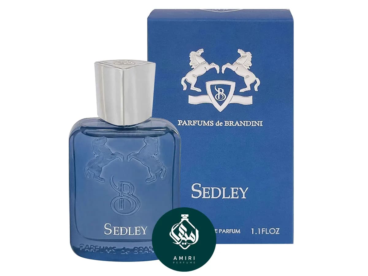 عطر ادکلن برندینی سدلی | Brandini Sedley — تصویر ۲