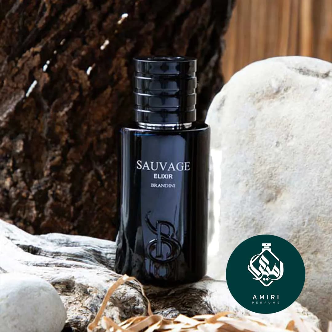 عطر ادکلن برندینی ساواج الکسیر | Brandini Sauvage Elixir — تصویر ۳