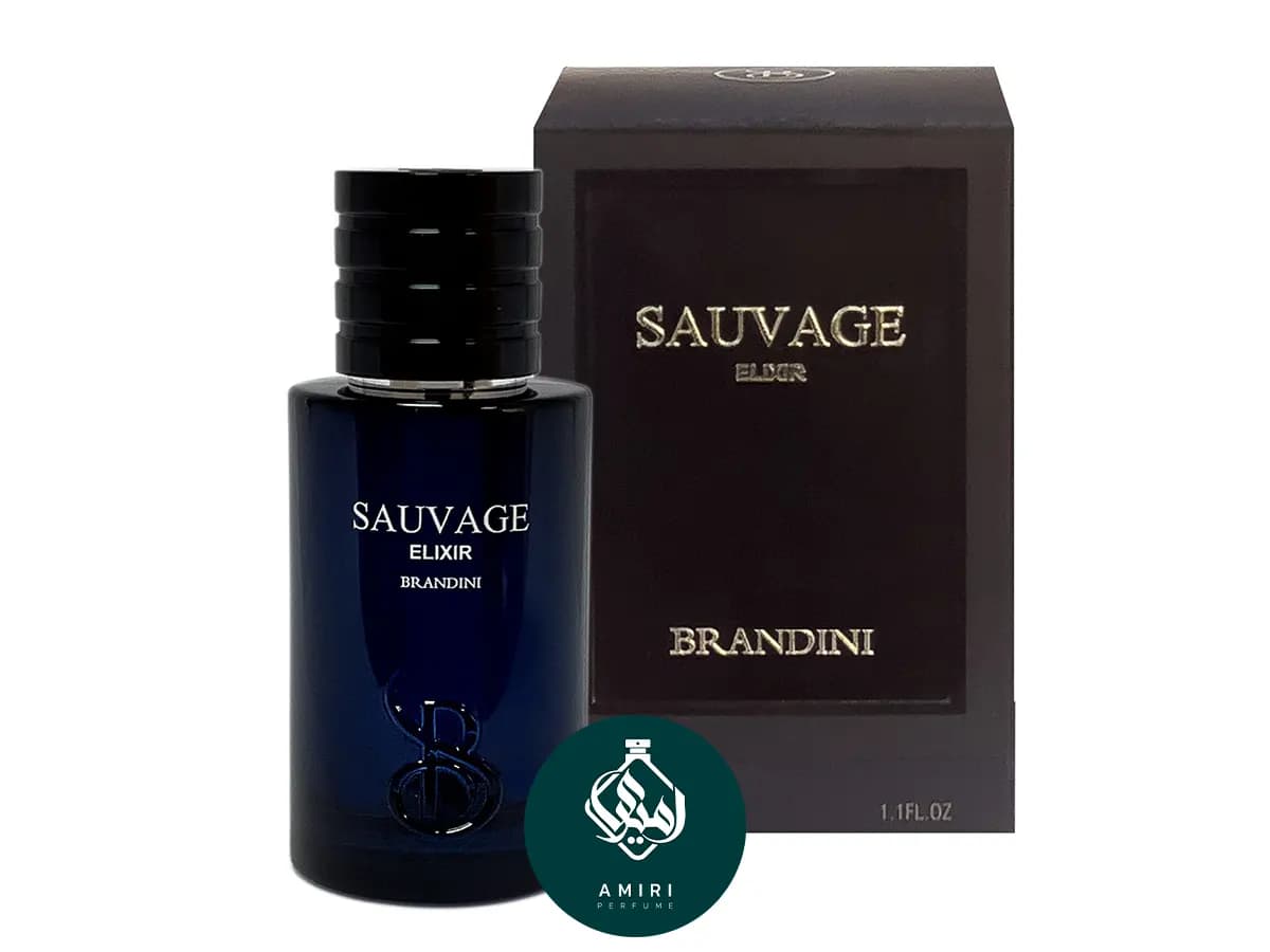 عطر ادکلن برندینی ساواج الکسیر | Brandini Sauvage Elixir — تصویر ۲
