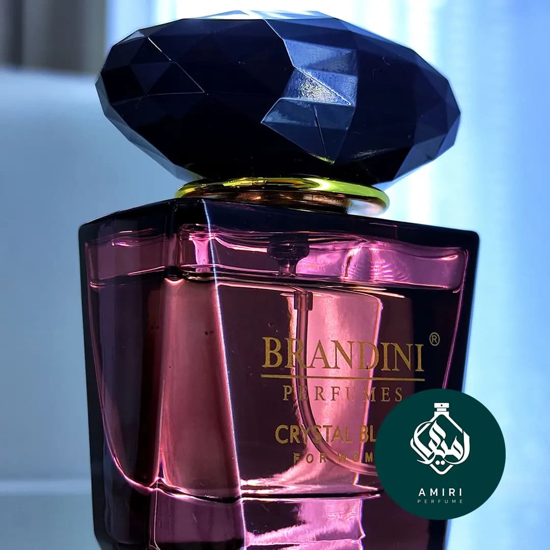 عطر ادکلن برندینی کریستال نویر | Brandini Crystal Noir — تصویر ۳