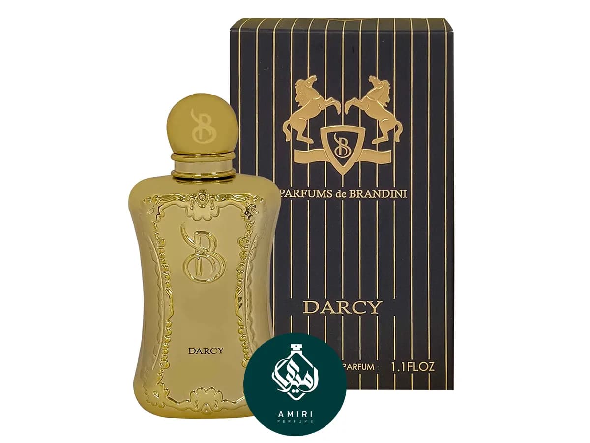 عطر ادکلن برندینی دارسی | Brandini Darcy — تصویر ۲