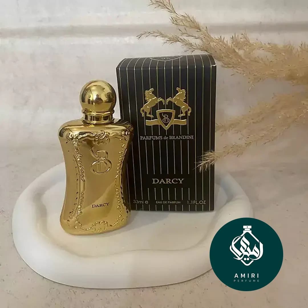 عطر ادکلن برندینی دارسی | Brandini Darcy — تصویر ۳