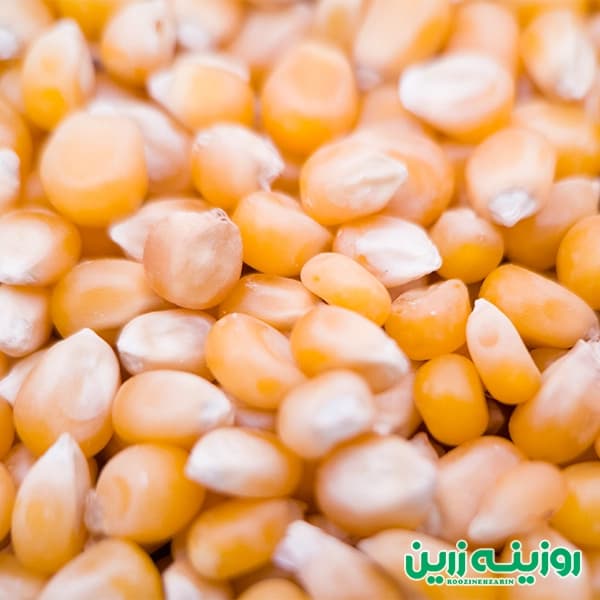 دانه ذرت پفیلا خام – مخصوص تهیه پاپ‌کورن خانگی — تصویر ۲