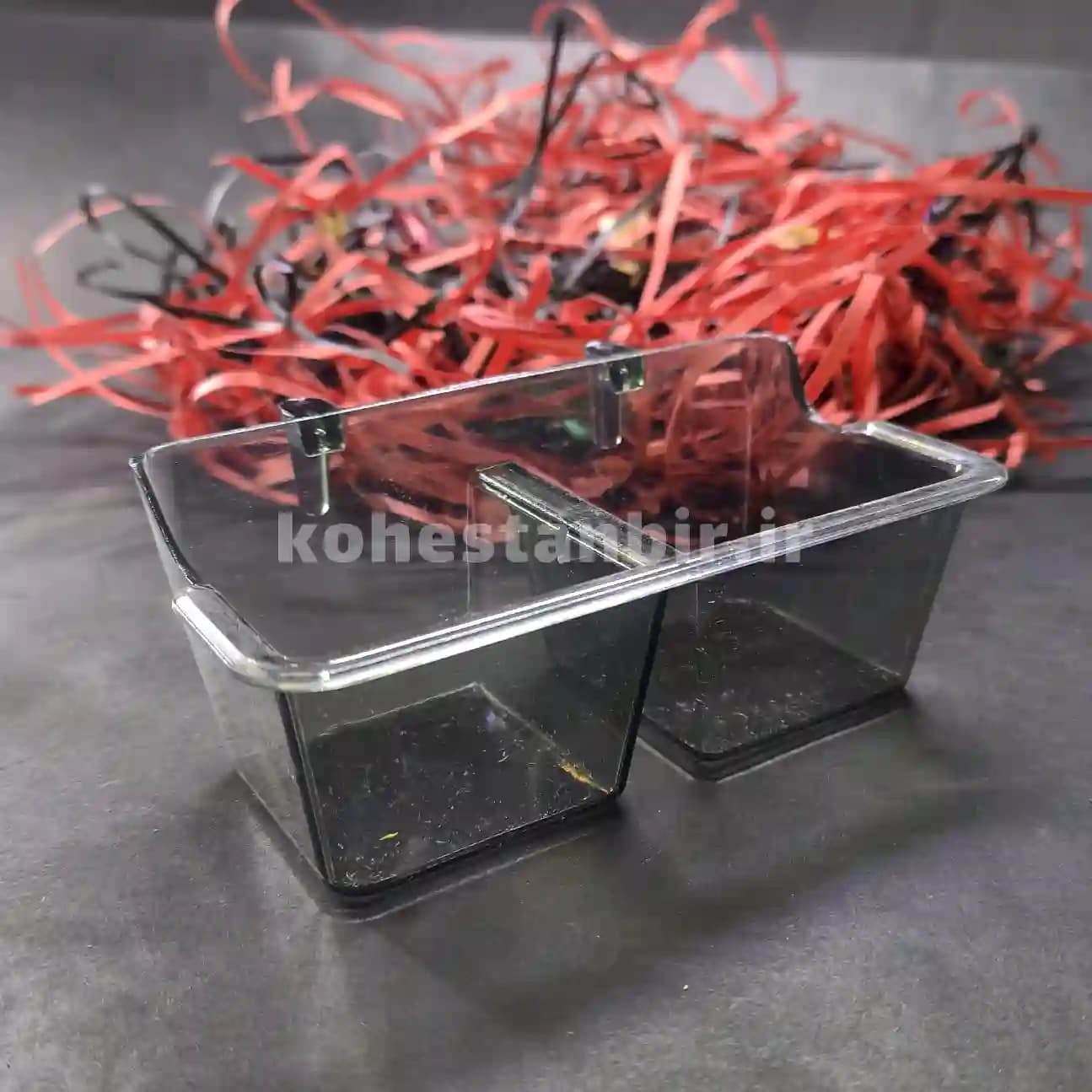 دانه خوری دوقلو آرش — تصویر ۴