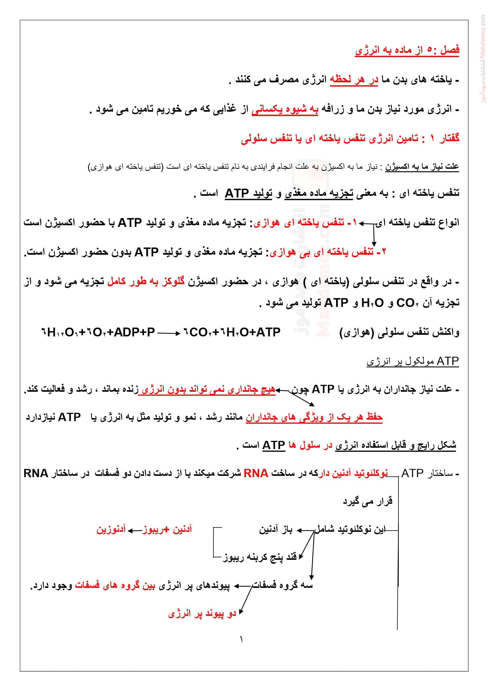 نکات مهم فصل 5 زیست شناسی تجربی کلاس دوازدهم